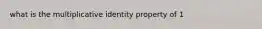 what is the multiplicative identity property of 1