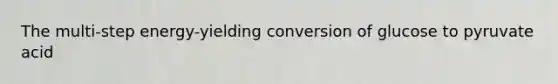 The multi-step energy-yielding conversion of glucose to pyruvate acid