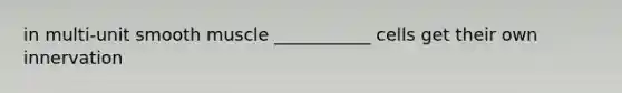 in multi-unit smooth muscle ___________ cells get their own innervation