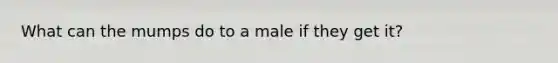 What can the mumps do to a male if they get it?