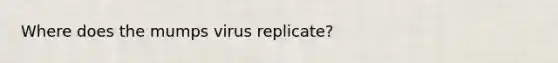 Where does the mumps virus replicate?