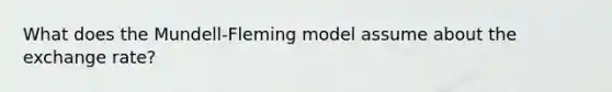 What does the Mundell-Fleming model assume about the exchange rate?