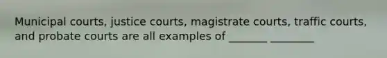 Municipal courts, justice courts, magistrate courts, traffic courts, and probate courts are all examples of _______ ________