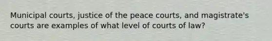 Municipal courts, justice of the peace courts, and magistrate's courts are examples of what level of courts of law?