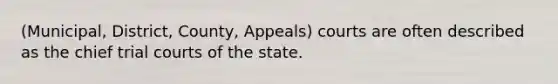 (Municipal, District, County, Appeals) courts are often described as the chief trial courts of the state.