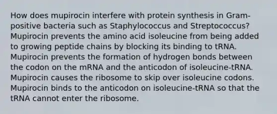 How does mupirocin interfere with protein synthesis in Gram-positive bacteria such as Staphylococcus and Streptococcus? Mupirocin prevents the amino acid isoleucine from being added to growing peptide chains by blocking its binding to tRNA. Mupirocin prevents the formation of hydrogen bonds between the codon on the mRNA and the anticodon of isoleucine-tRNA. Mupirocin causes the ribosome to skip over isoleucine codons. Mupirocin binds to the anticodon on isoleucine-tRNA so that the tRNA cannot enter the ribosome.