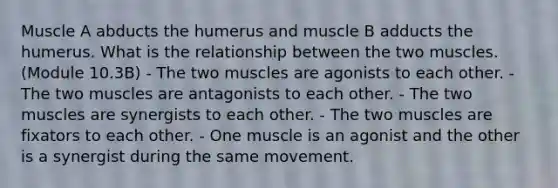 Muscle A abducts the humerus and muscle B adducts the humerus. What is the relationship between the two muscles. (Module 10.3B) - The two muscles are agonists to each other. - The two muscles are antagonists to each other. - The two muscles are synergists to each other. - The two muscles are fixators to each other. - One muscle is an agonist and the other is a synergist during the same movement.