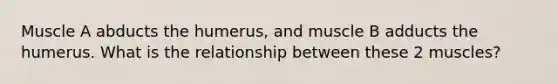 Muscle A abducts the humerus, and muscle B adducts the humerus. What is the relationship between these 2 muscles?