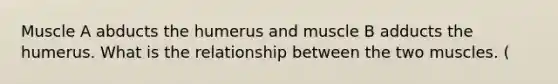 Muscle A abducts the humerus and muscle B adducts the humerus. What is the relationship between the two muscles. (