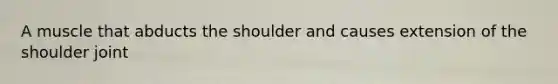 A muscle that abducts the shoulder and causes extension of the shoulder joint