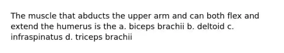 The muscle that abducts the upper arm and can both flex and extend the humerus is the a. biceps brachii b. deltoid c. infraspinatus d. triceps brachii