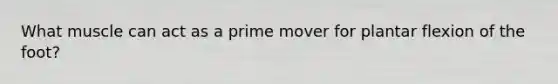 What muscle can act as a prime mover for plantar flexion of the foot?