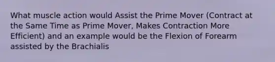 What muscle action would Assist the Prime Mover (Contract at the Same Time as Prime Mover, Makes Contraction More Efficient) and an example would be the Flexion of Forearm assisted by the Brachialis