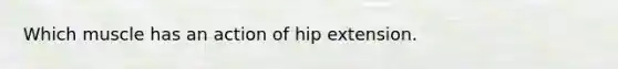 Which muscle has an action of hip extension.