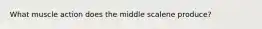 What muscle action does the middle scalene produce?