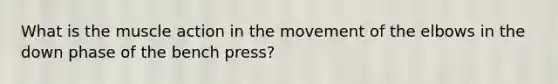 What is the muscle action in the movement of the elbows in the down phase of the bench press?