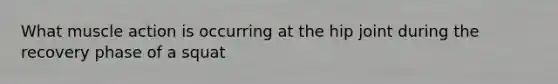 What muscle action is occurring at the hip joint during the recovery phase of a squat