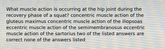 What muscle action is occurring at the hip joint during the recovery phase of a squat? concentric muscle action of the gluteus maximus concentric muscle action of the iliopsoas eccentric muscle action of the semimembranosus eccentric muscle action of the sartorius two of the listed answers are correct none of the answers listed