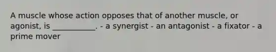 A muscle whose action opposes that of another muscle, or agonist, is ___________. - a synergist - an antagonist - a fixator - a prime mover