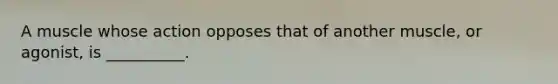 A muscle whose action opposes that of another muscle, or agonist, is __________.
