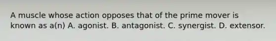 A muscle whose action opposes that of the prime mover is known as a(n) A. agonist. B. antagonist. C. synergist. D. extensor.