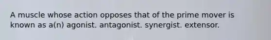 A muscle whose action opposes that of the prime mover is known as a(n) agonist. antagonist. synergist. extensor.