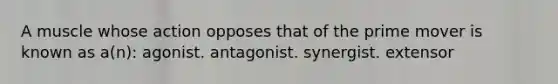 A muscle whose action opposes that of the prime mover is known as a(n): agonist. antagonist. synergist. extensor