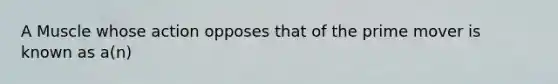 A Muscle whose action opposes that of the prime mover is known as a(n)