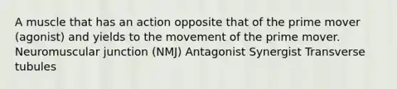 A muscle that has an action opposite that of the prime mover (agonist) and yields to the movement of the prime mover. Neuromuscular junction (NMJ) Antagonist Synergist Transverse tubules