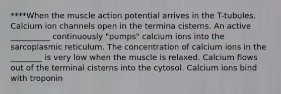 ****When the muscle action potential arrives in the T-tubules. Calcium ion channels open in the termina cisterns. An active __________ continuously "pumps" calcium ions into the sarcoplasmic reticulum. The concentration of calcium ions in the ________ is very low when the muscle is relaxed. Calcium flows out of the terminal cisterns into the cytosol. Calcium ions bind with troponin