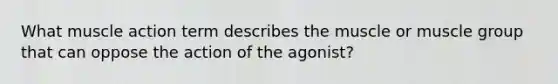 What muscle action term describes the muscle or muscle group that can oppose the action of the agonist?