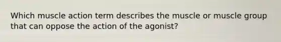 Which muscle action term describes the muscle or muscle group that can oppose the action of the agonist?