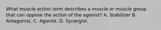 What muscle action term describes a muscle or muscle group that can oppose the action of the agonist? A. Stabilizer B. Antagonist. C. Agonist. D. Synergist.