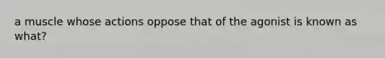 a muscle whose actions oppose that of the agonist is known as what?