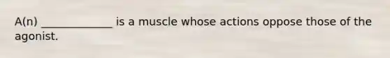 A(n) _____________ is a muscle whose actions oppose those of the agonist.