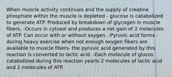 When muscle activity continues and the supply of creatine phosphate within the muscle is depleted - glucose is catabolized to generate ATP. Produced by breakdown of glycogen in muscle fibers. -Occurs in cytosol and produces a net gain of 2 molecules of ATP. Can occur with or without oxygen. -Pyruvic acid forms -during heavy exercise when not enough oxygen fibers are available to muscle fibers- the pyruvic acid generated by this reaction is converted to lactic acid. -Each molecule of glucos catabolized during this reaction yearls 2 molecules of lactic acid and 2 molecules of ATP.