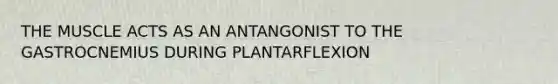 THE MUSCLE ACTS AS AN ANTANGONIST TO THE GASTROCNEMIUS DURING PLANTARFLEXION