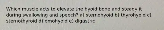 Which muscle acts to elevate the hyoid bone and steady it during swallowing and speech? a) sternohyoid b) thyrohyoid c) sternothyroid d) omohyoid e) digastric