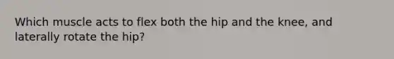 Which muscle acts to flex both the hip and the knee, and laterally rotate the hip?