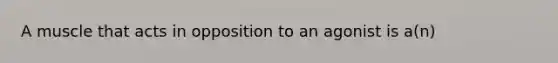 A muscle that acts in opposition to an agonist is a(n)