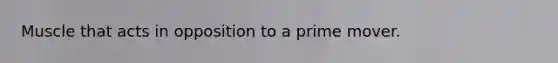 Muscle that acts in opposition to a prime mover.