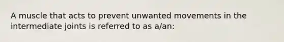 A muscle that acts to prevent unwanted movements in the intermediate joints is referred to as a/an: