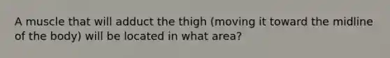 A muscle that will adduct the thigh (moving it toward the midline of the body) will be located in what area?