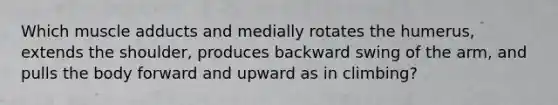 Which muscle adducts and medially rotates the humerus, extends the shoulder, produces backward swing of the arm, and pulls the body forward and upward as in climbing?