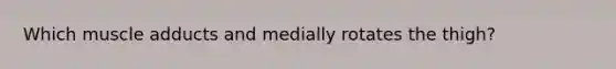 Which muscle adducts and medially rotates the thigh?