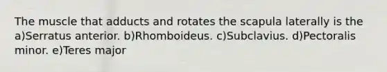 The muscle that adducts and rotates the scapula laterally is the a)Serratus anterior. b)Rhomboideus. c)Subclavius. d)Pectoralis minor. e)Teres major