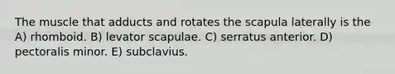 The muscle that adducts and rotates the scapula laterally is the A) rhomboid. B) levator scapulae. C) serratus anterior. D) pectoralis minor. E) subclavius.