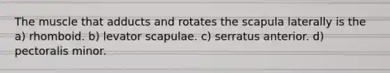 The muscle that adducts and rotates the scapula laterally is the a) rhomboid. b) levator scapulae. c) serratus anterior. d) pectoralis minor.