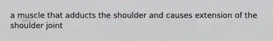 a muscle that adducts the shoulder and causes extension of the shoulder joint