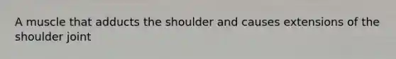 A muscle that adducts the shoulder and causes extensions of the shoulder joint